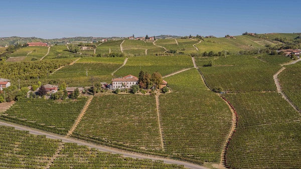 Massimo Rivetti - Degustazione 5 vini Piemonte Massimo Rivetti