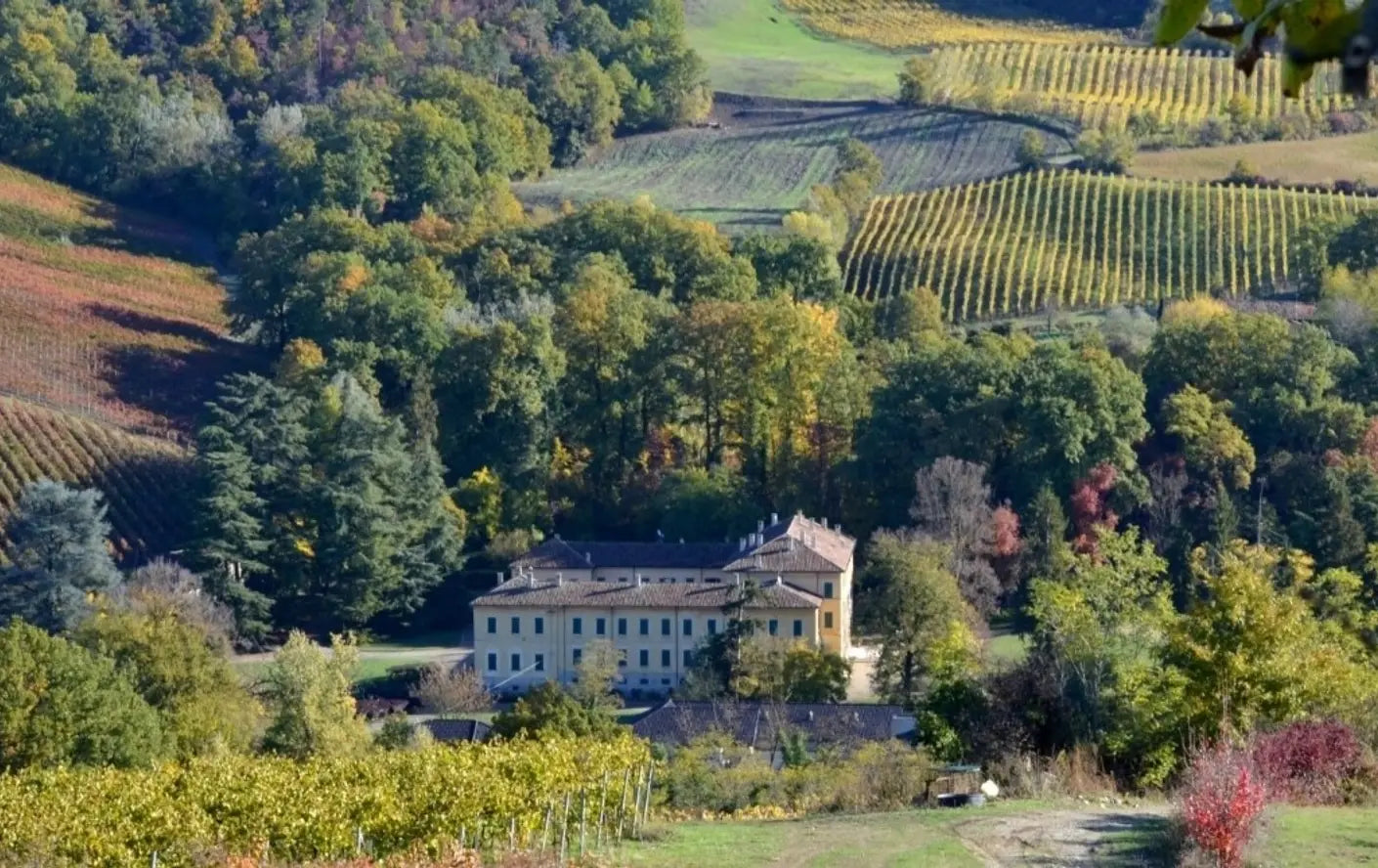 Arcadia Conte Vistarino - I vini dell'Oltrepò Lombardia Conte Vistarino