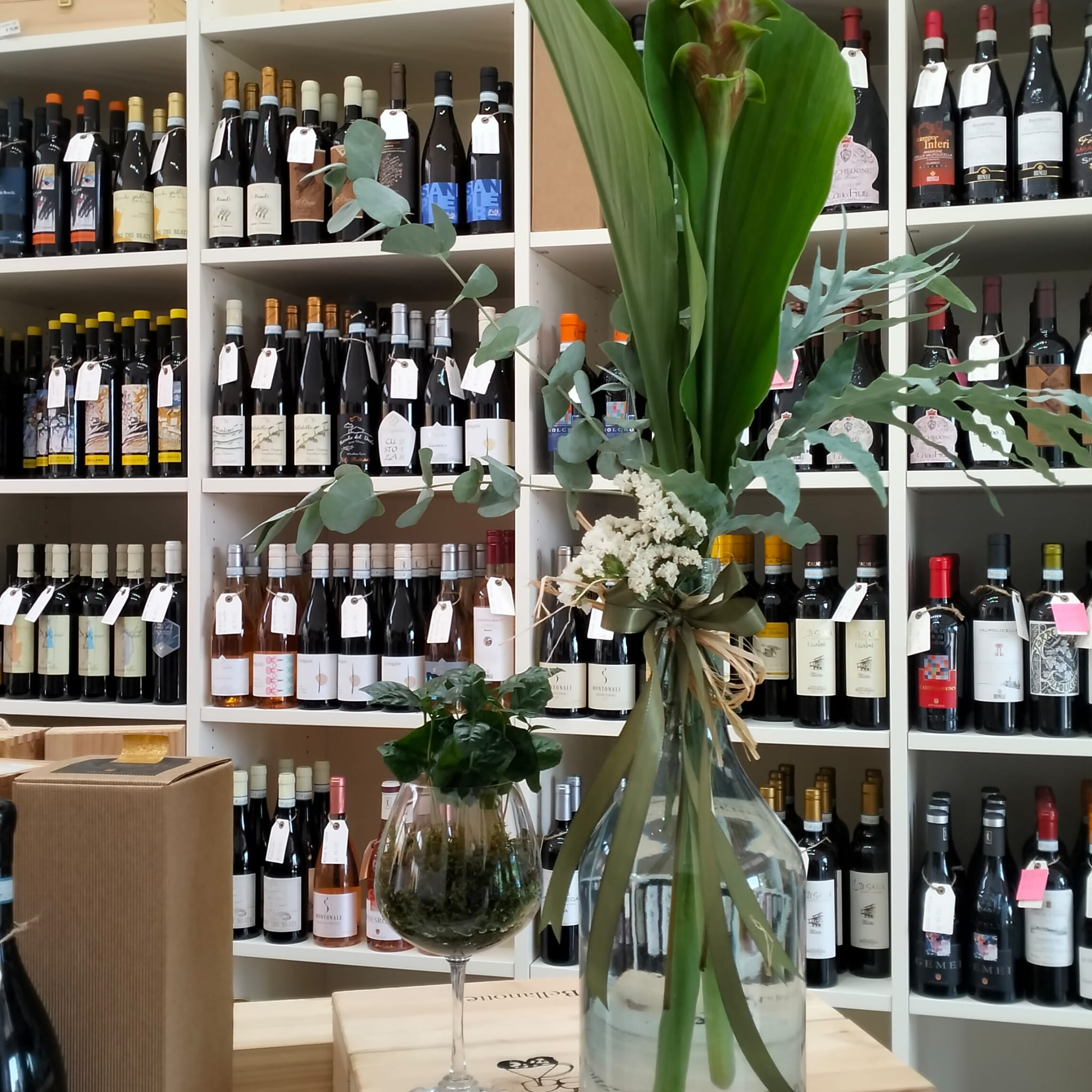 Degustazione vini rossi a Verona Verona