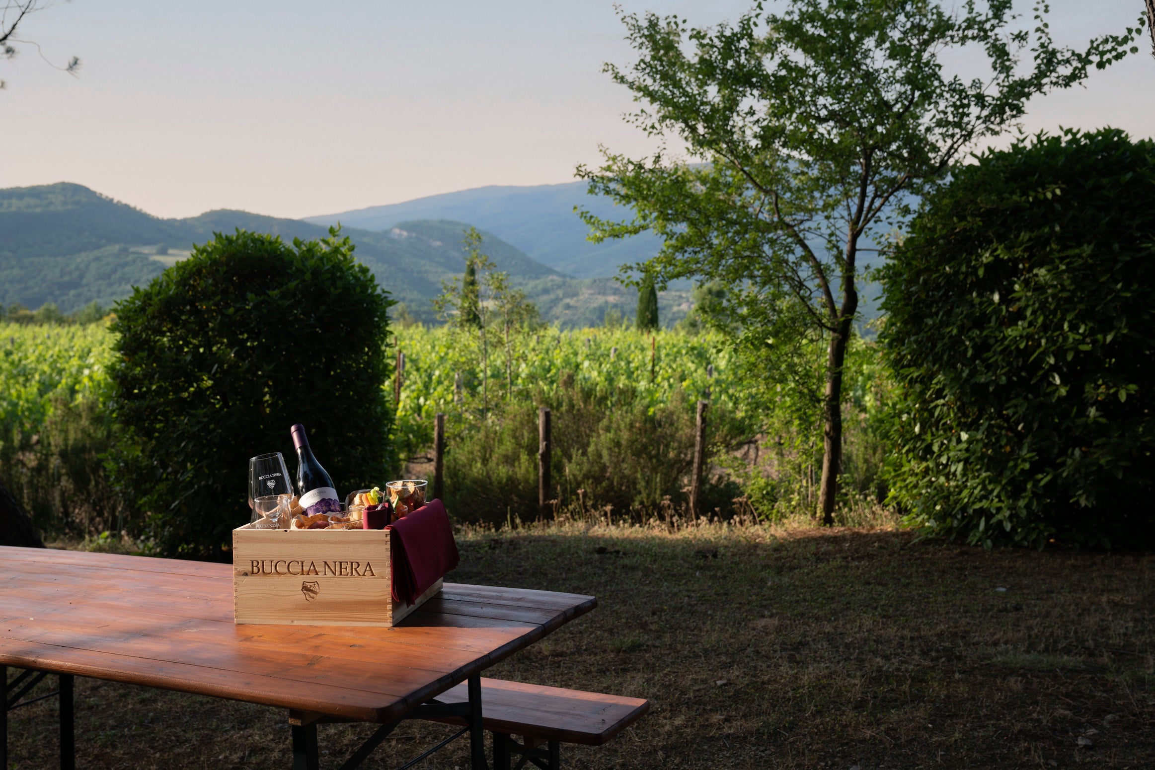 Buccia Nera - Pic Nic Toscana Buccia Nera