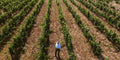 Colline del vento - Passeggiata tra i filari con aperitivo Sardegna Colline del vento