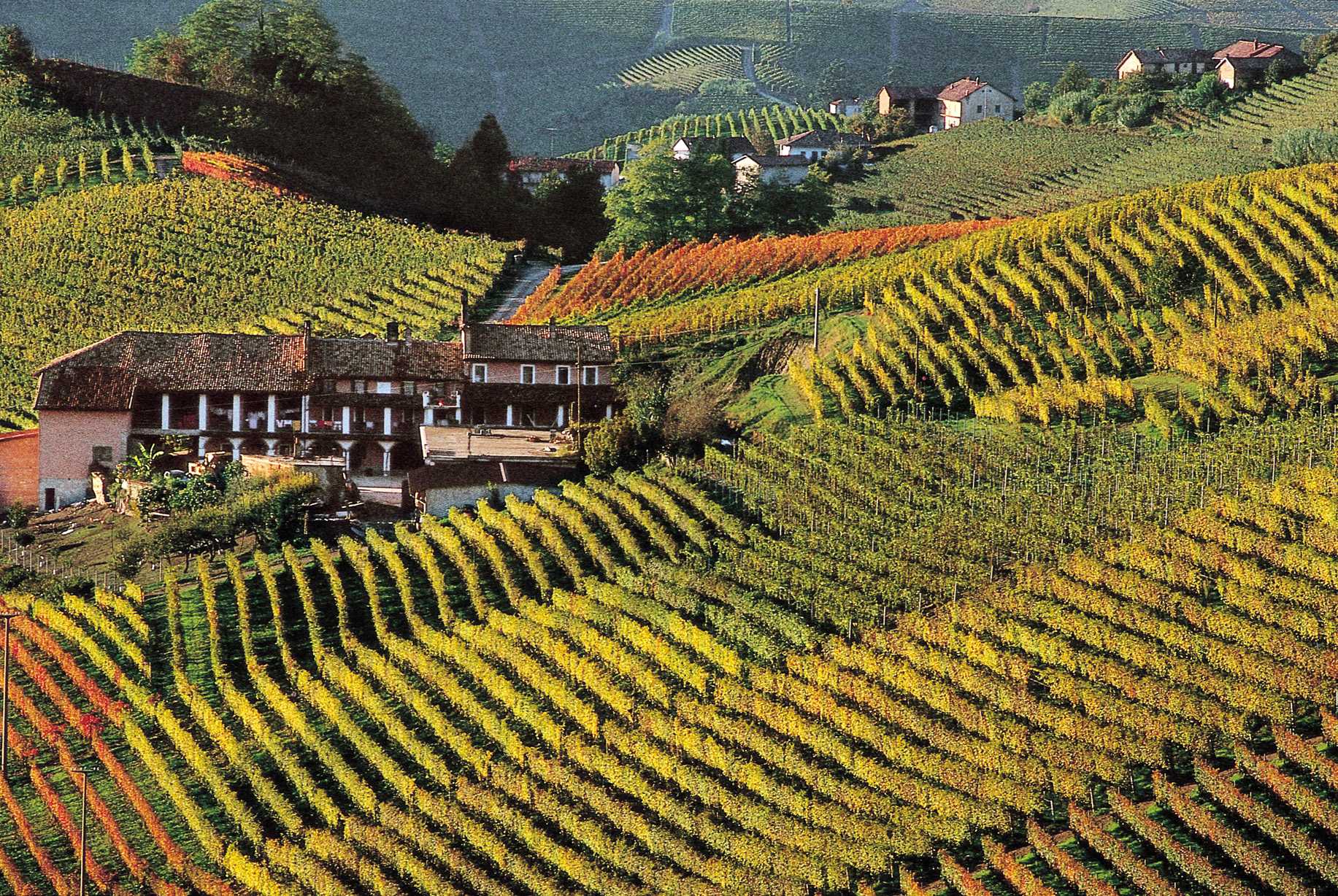 Soggiorno & Degustazione in Wine Resort - Piemonte Piemonte Piemonte