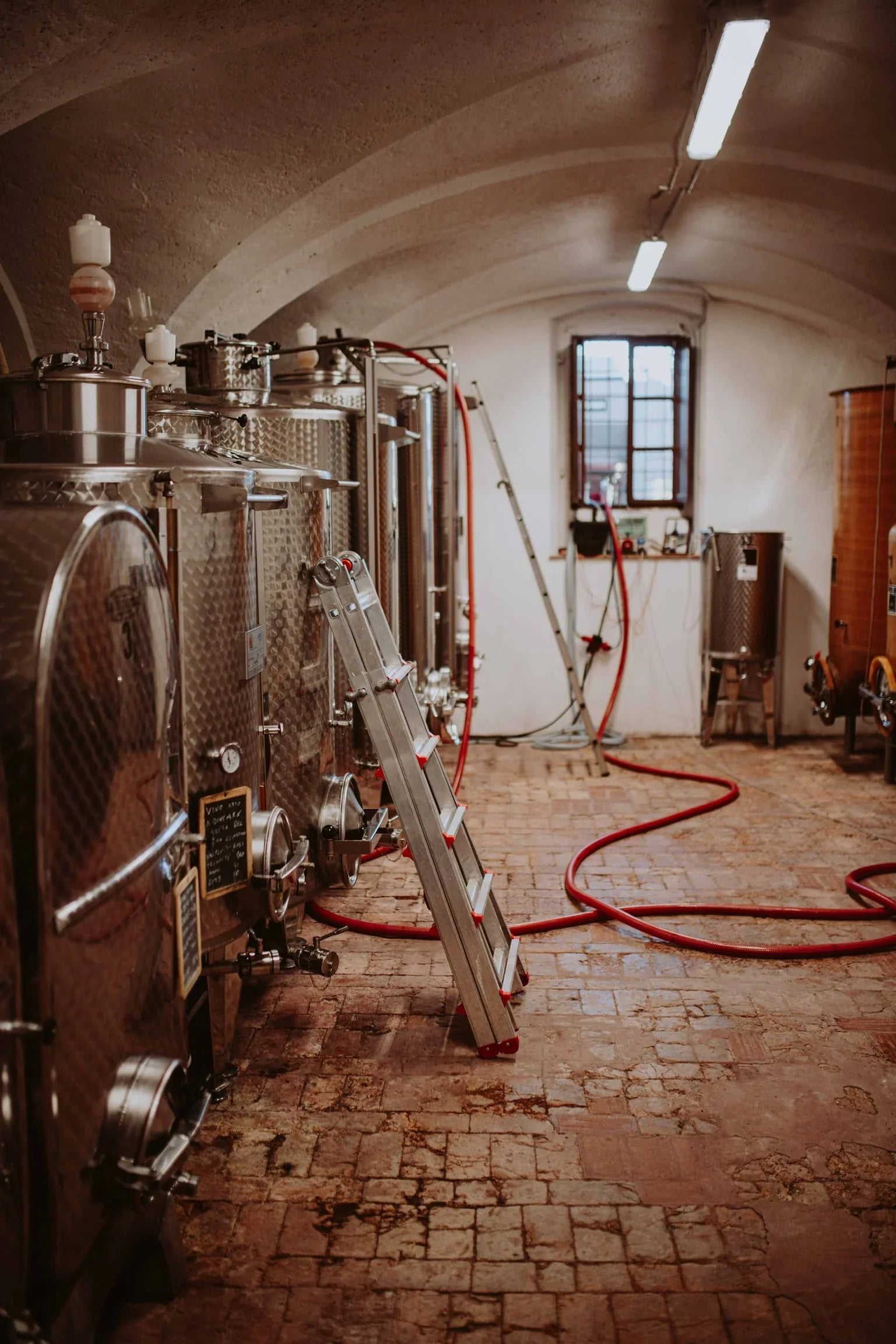 Podere dei Folli - La rivincità del Rosè Veneto Podere dei Folli