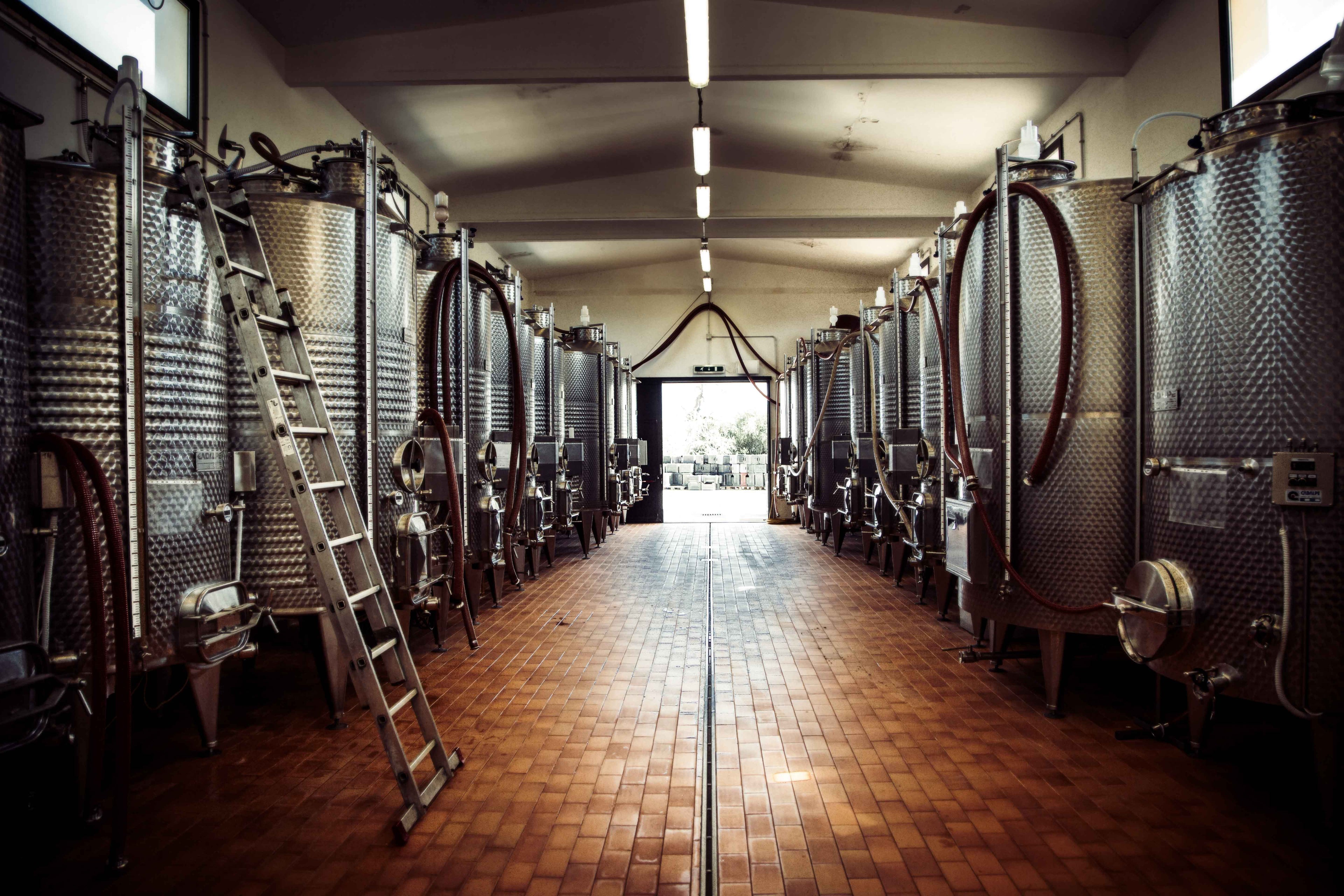 Tenuta Il Ponte - Degustazione 5 calici Toscana Tenuta Il Ponte