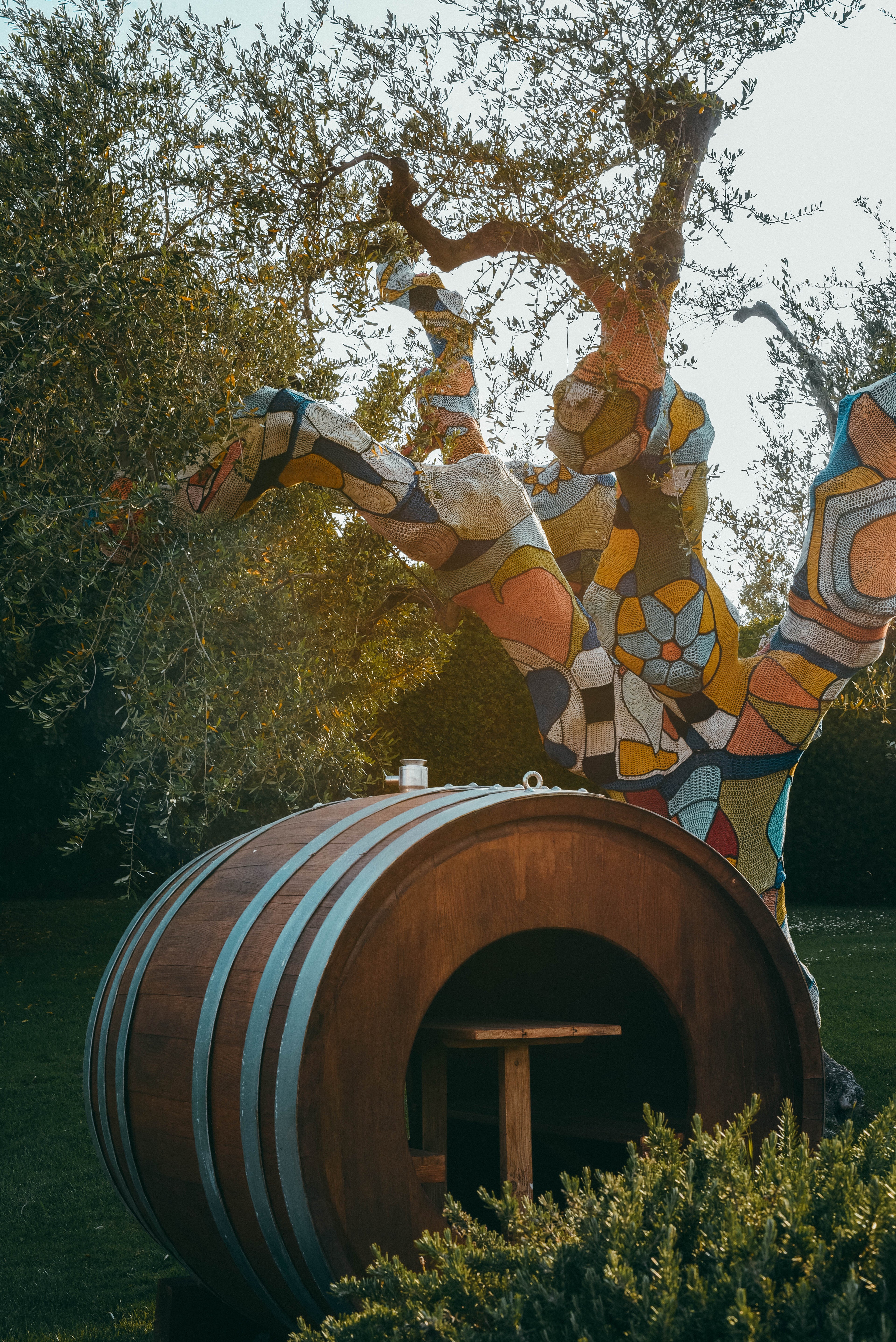 Tenuta Il Ponte - Pic nic tra gli ulivi Toscana Tenuta Il Ponte