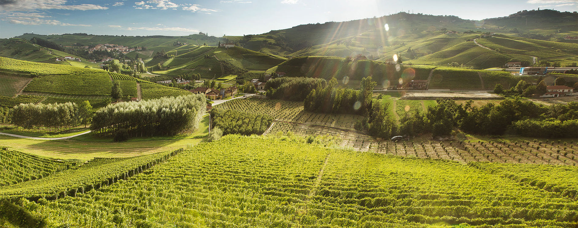 Cascina Pugnane - Barolo Soggiorno & Wine experience Piemonte Cascina Pugnane
