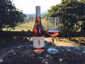 Travignoli - Tasting with view Toscana Travignoli