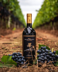 Terre del Marchesato - Degustazione PREMIUM Toscana Terre del Marchesato