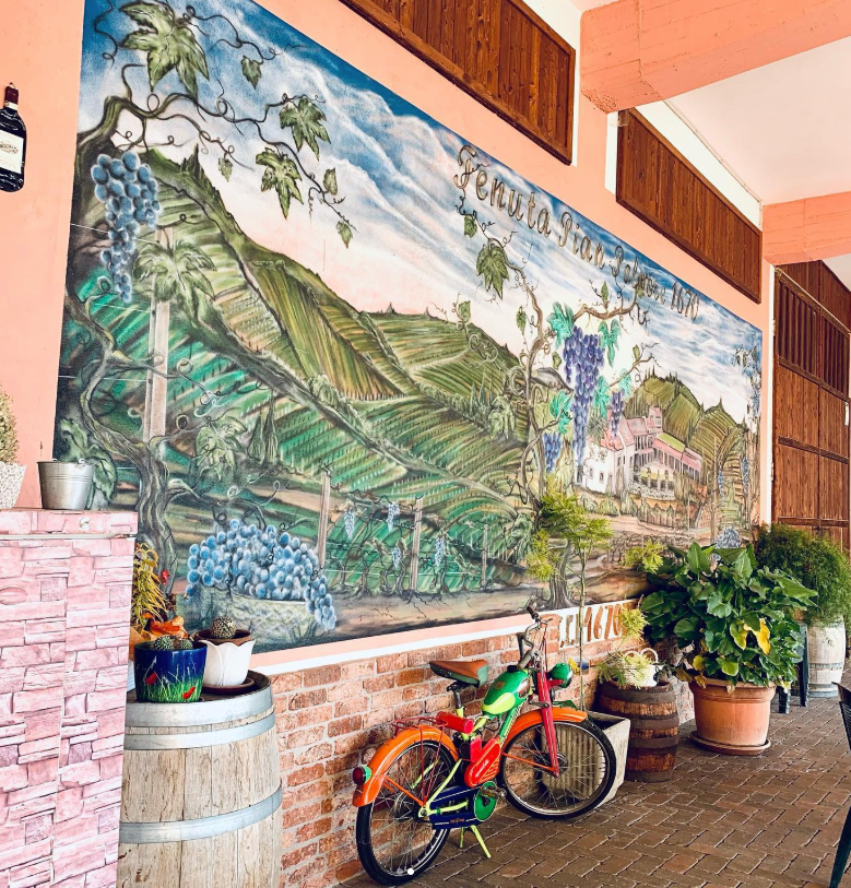Tenuta PianPolvere - Degustazione 7 vini in Barolo Piemonte Tenuta PianPolvere