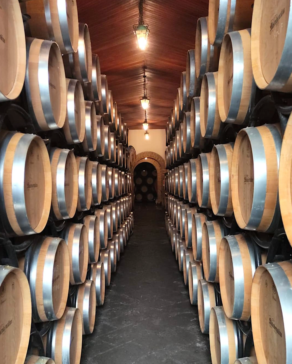 Mastroberardino - Soggiorno e Degustazione Campania Mastroberardino
