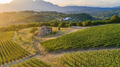Borgo San Gregorio - Visita e Pranzo degustazione Campania Feudi di San Gregorio