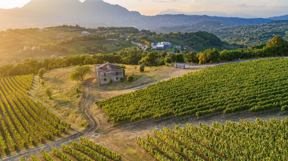 Borgo San Gregorio - Visita e Pranzo degustazione Campania Feudi di San Gregorio