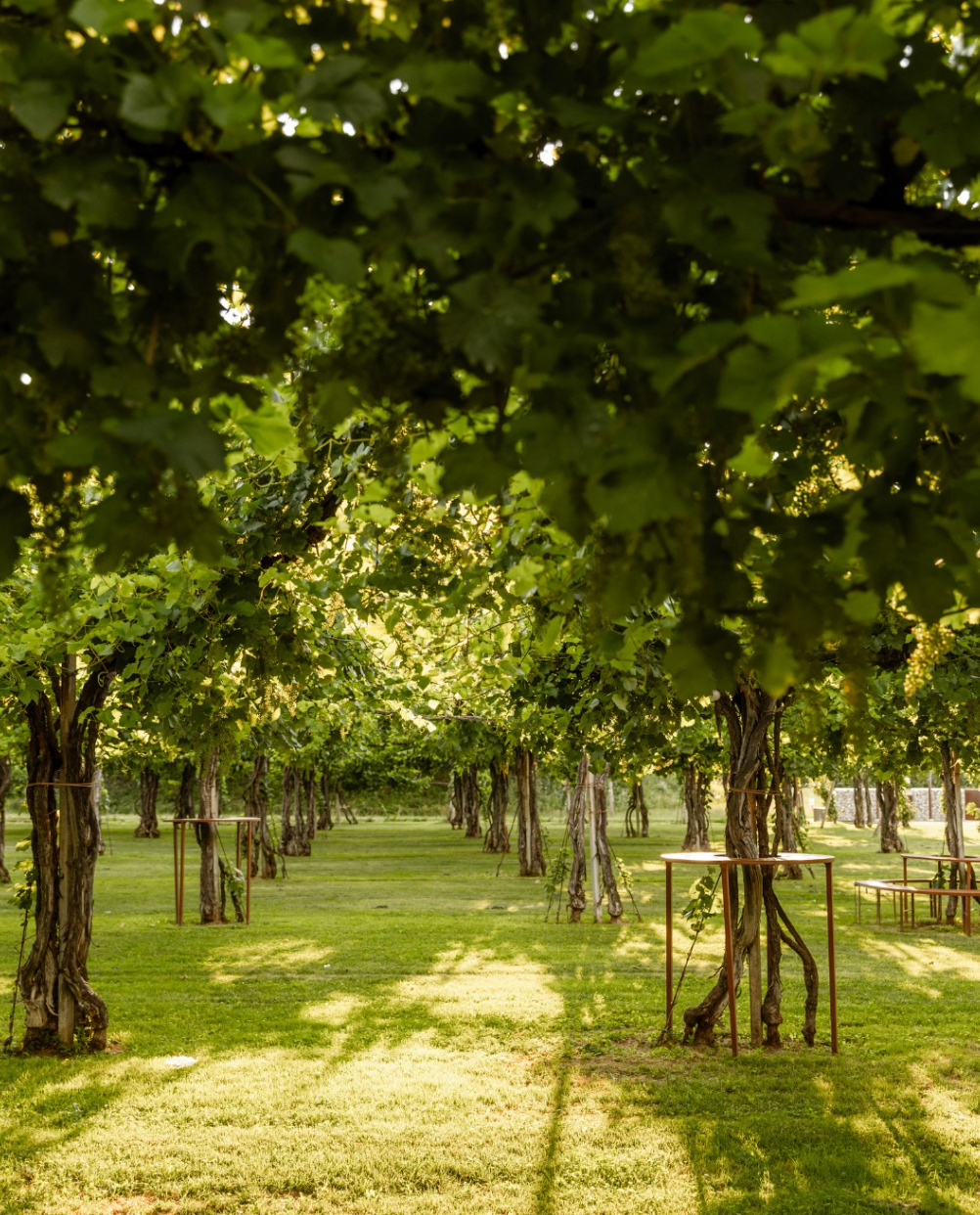 Cà di Rajo - Bollicine Wine Tour Veneto Cà di Rajo