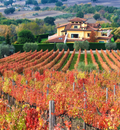 Mastroberardino - Soggiorno e Degustazione Campania Mastroberardino