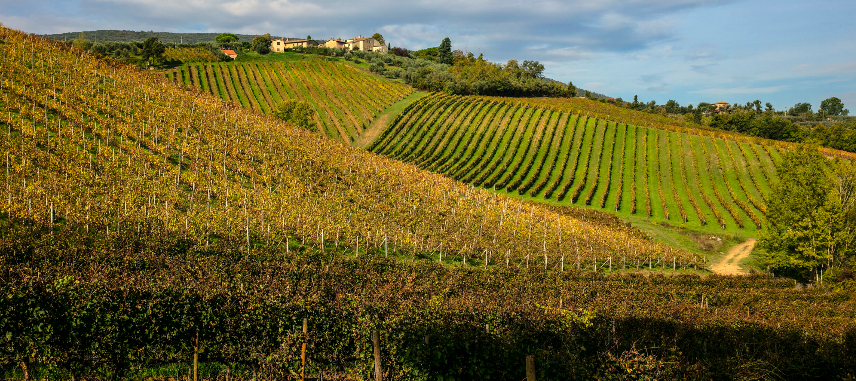 Il Palagetto - Soggiorno Premium & Degustazione Toscana Az.agr Palagetto