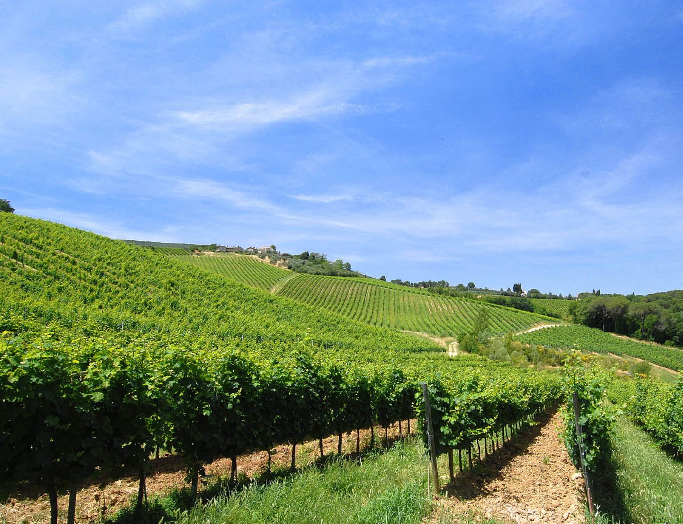Il Palagetto - Light Lunch “Tosca” Toscana Az.agr Palagetto