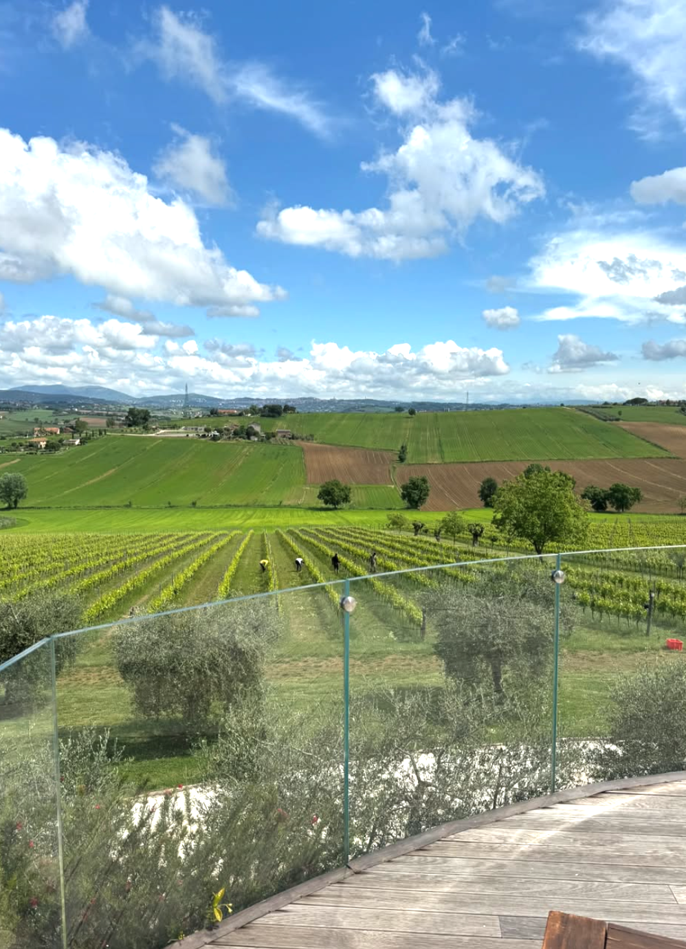 Tenuta dei Mori - Soggiorno 2 notti con Piscina Privata & Degustazione - "Olivo" Umbria Tenuta dei Mori