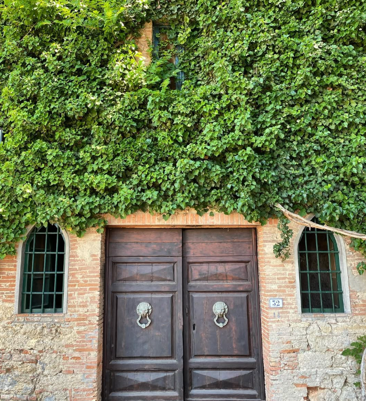Badia di Morrona - Visita + Pranzo con Degustazione Toscana Badia di Morrona