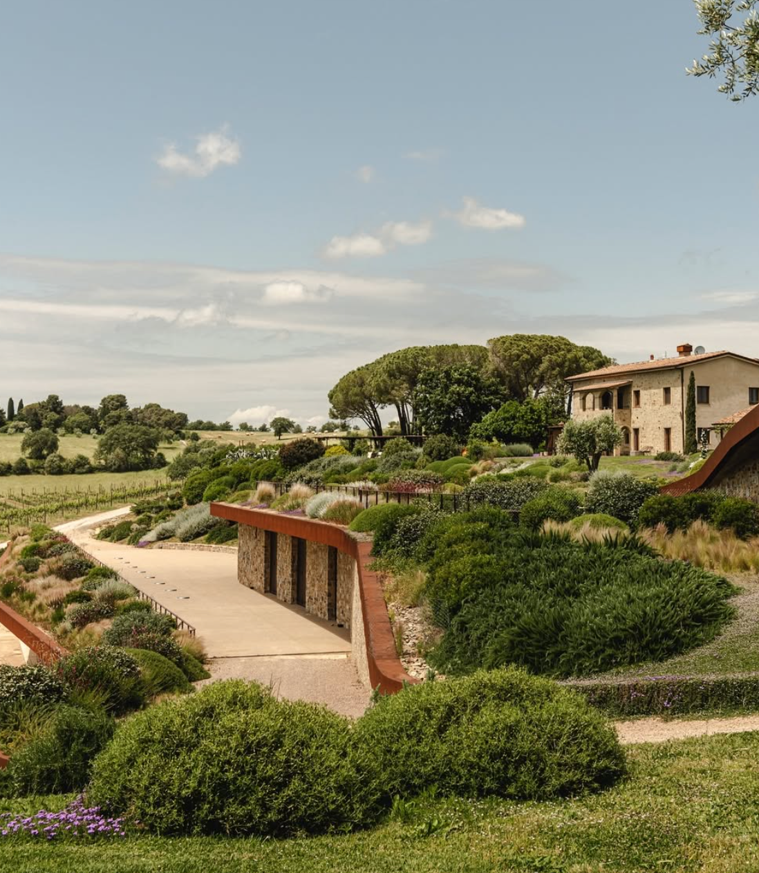 Il Quinto - Light Tasting Toscana Il Quinto