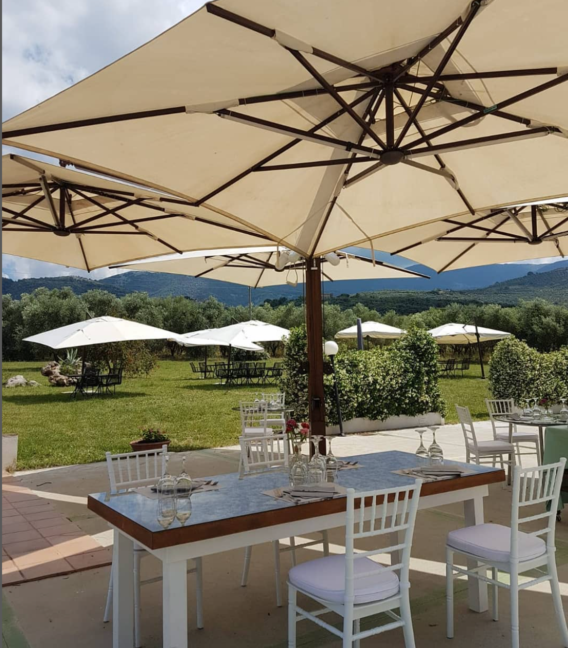 Pietra Pinta - Degustazione 3 vini con tagliere Lazio Pietra Pinta
