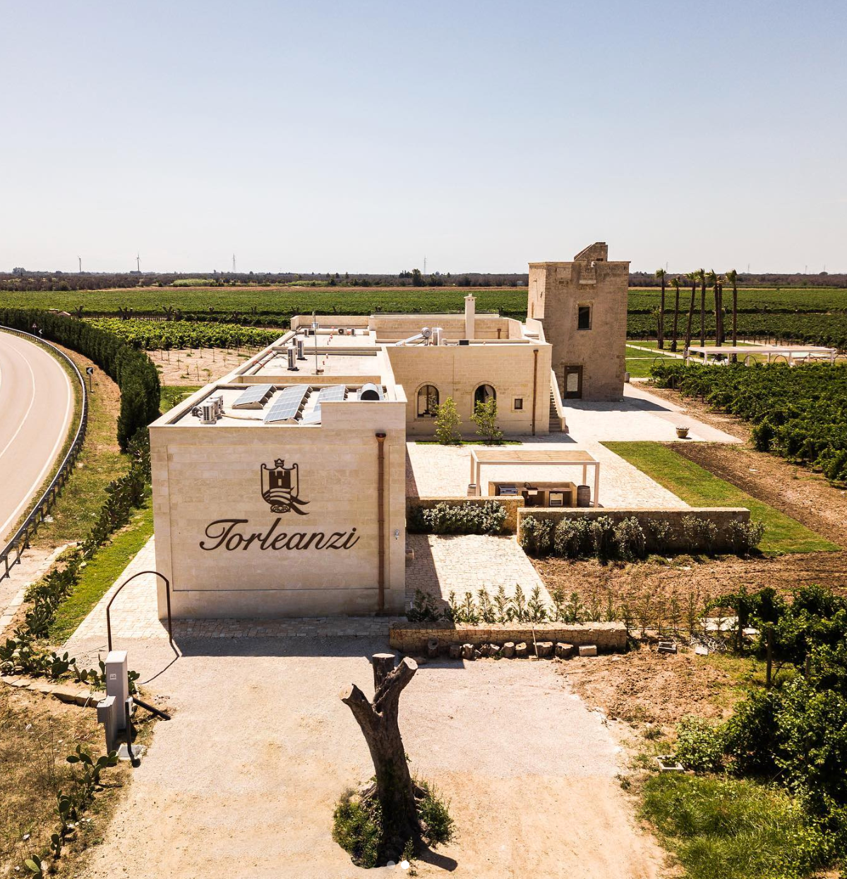 Masseria Torleanzi - Sommelier wine experience Puglia Masseria Torleanzi