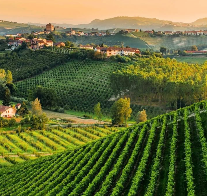 Badia di Morrona - Visita + Pranzo con Degustazione Toscana Badia di Morrona