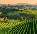 Badia di Morrona - Visita + Pranzo con Degustazione Toscana Badia di Morrona