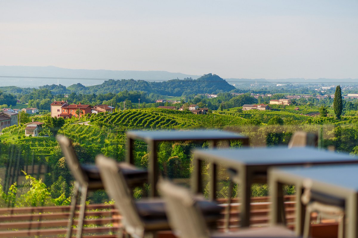 Rebuli - Degustazione e Visita della cantina Veneto Rebulli