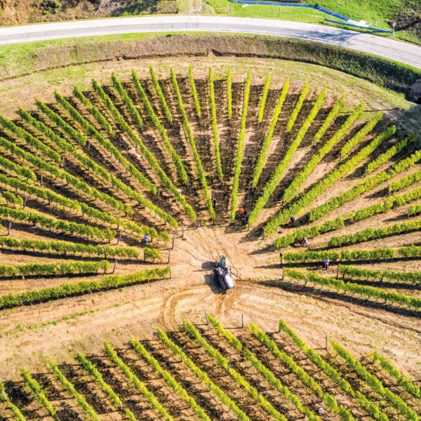 Cascina Binè - Soggiorno & Cena in Cantina Piemonte Cascina Binè