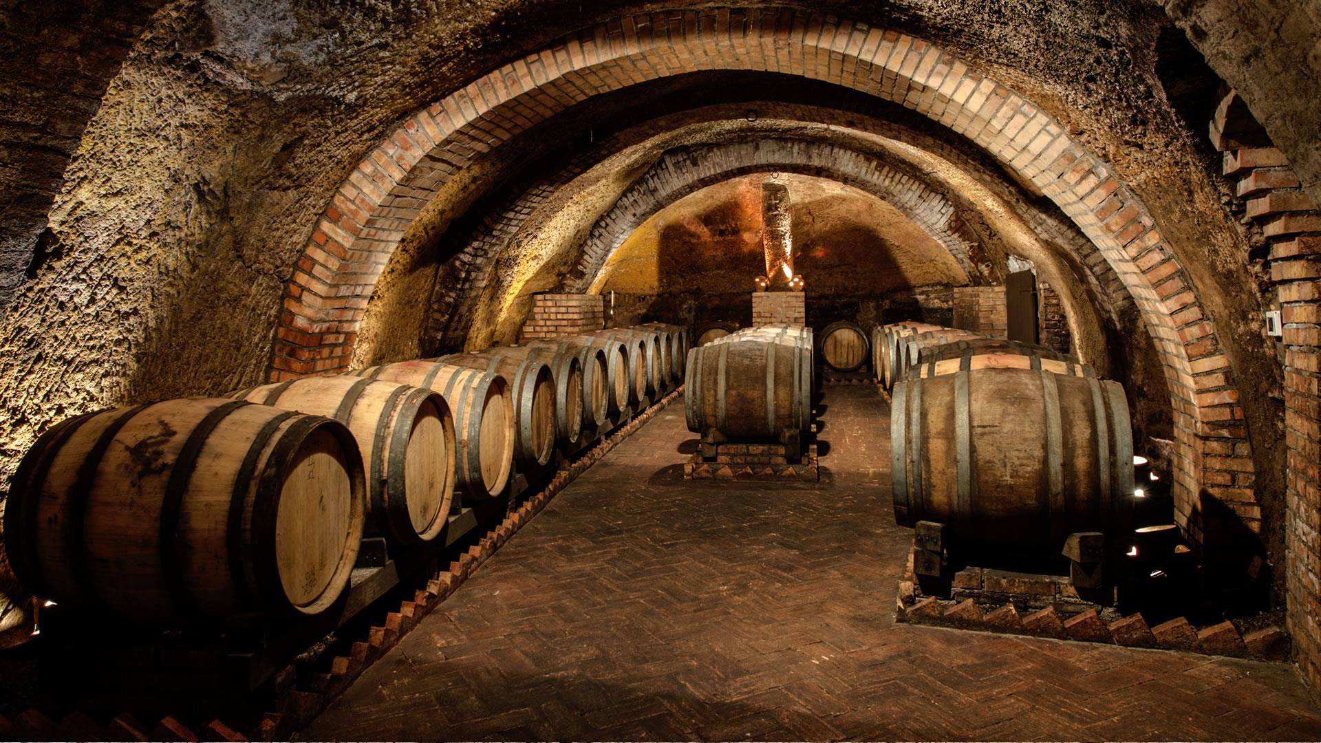 Cantine del Notaio - Il Cuore Lucano Basilicata Cantine del Notaio