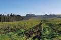Tenuta di Pietra Porzia - Soggiorno, Degustazione e Massaggio Lazio Tenuta di Pietra Porzia