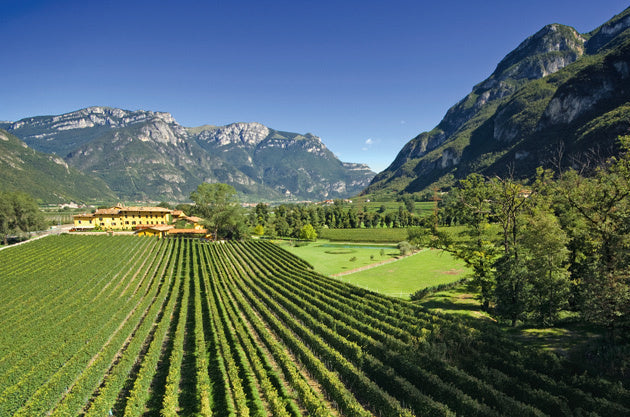 San Leonardo - Visita & Degustazione Trentino Alto Adige San Leonardo