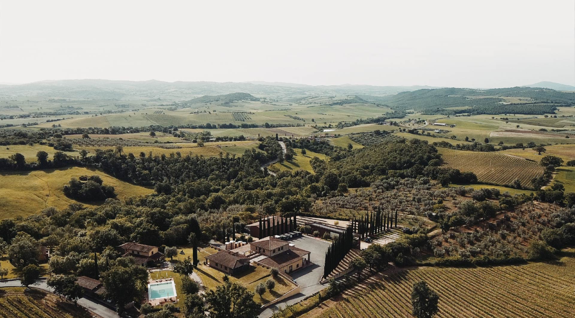Terenzi Wines - Degustazione Toscana Terenzi Wines