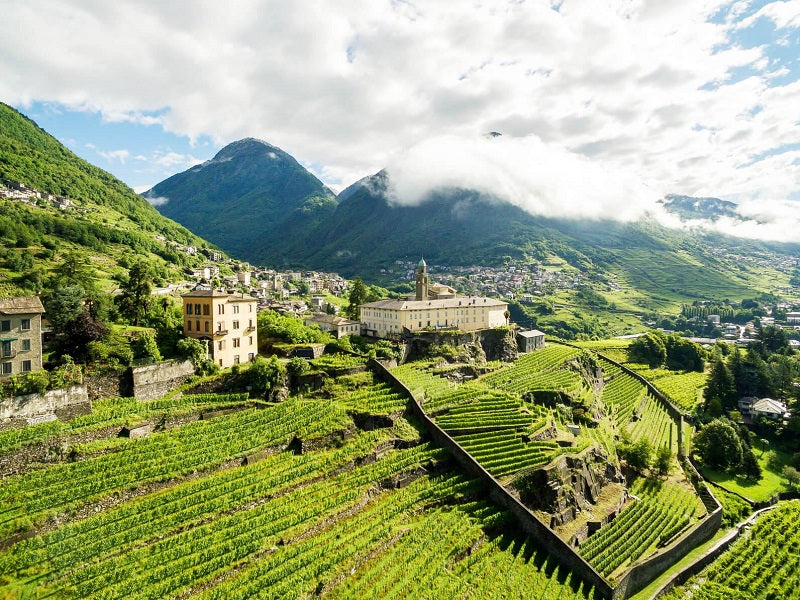Soggiorno & Degustazione in Wine Resort in Italia Wineries Experience