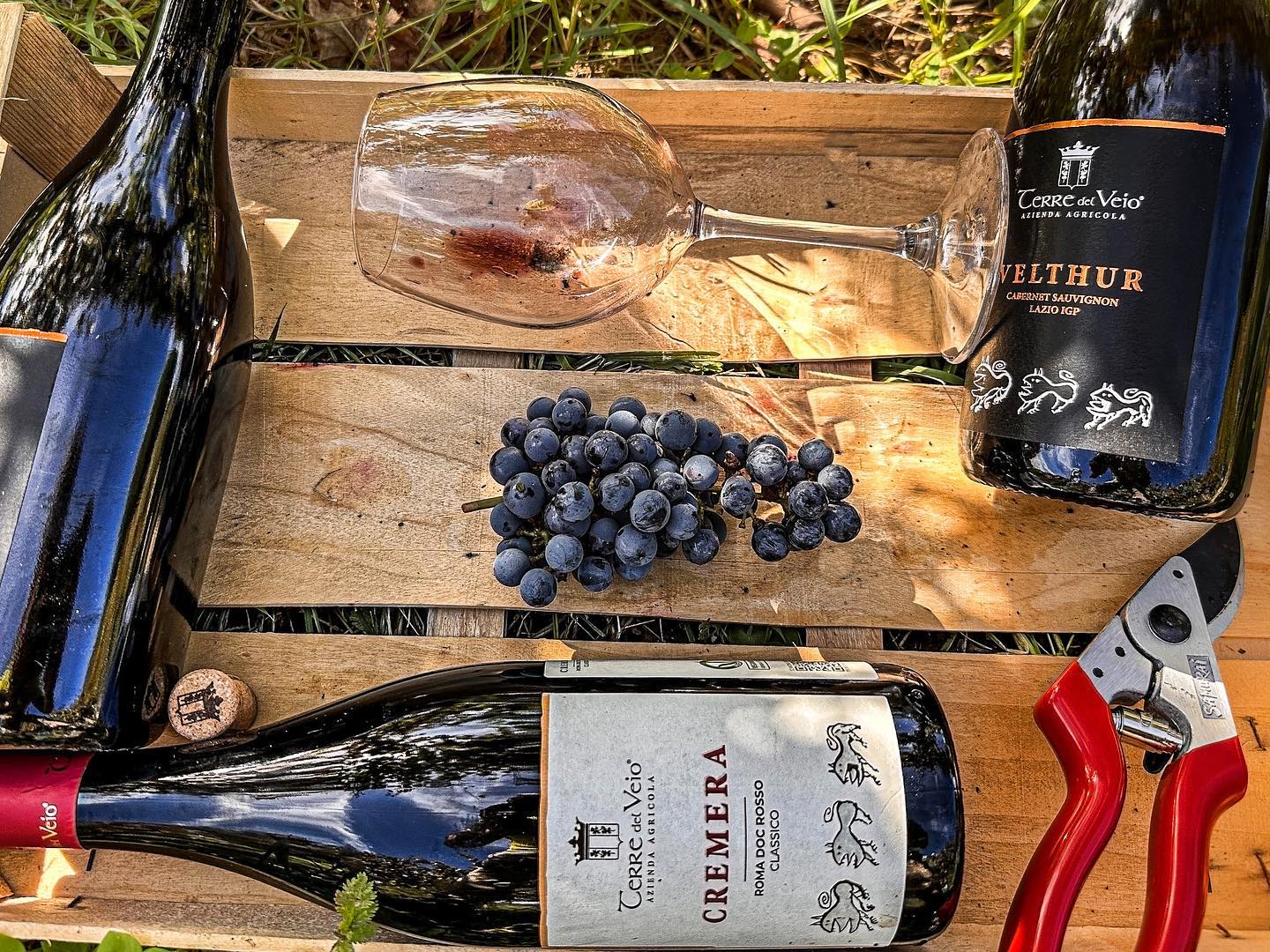Terre del Veio - Degustazione 5 calici Lazio Terre del Veio