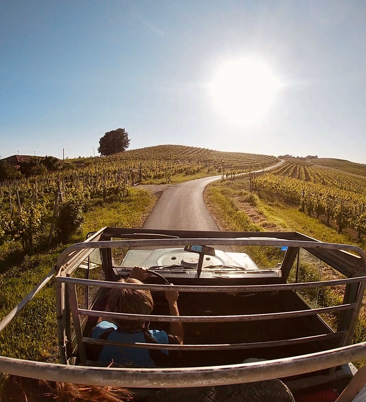 Oddone Prati - Tour dei vigneti in Jeep Piemonte Oddone Prati