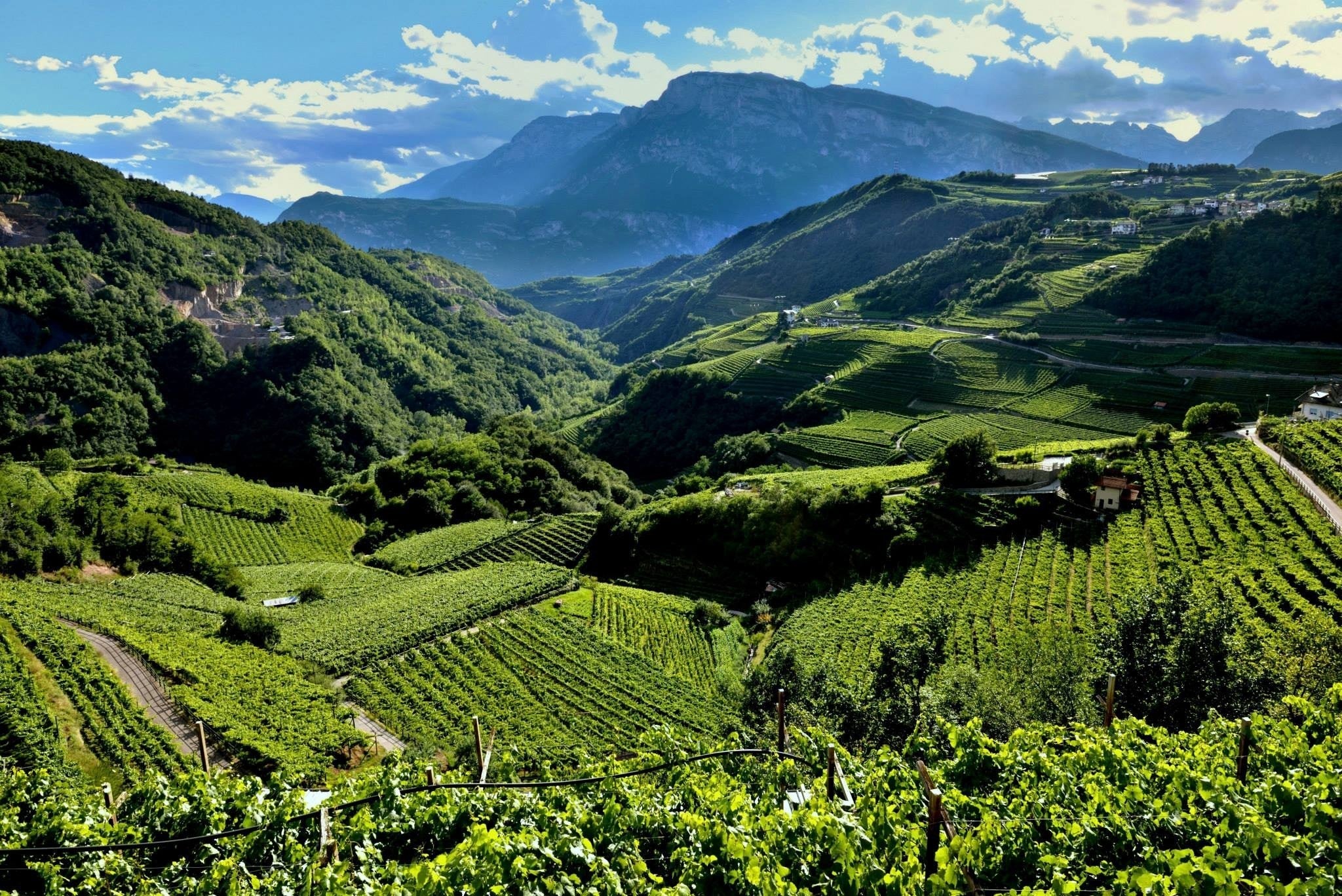 Villa Corniole - Visita e Degustazione in cantina Trentino Alto Adige Villa Corniole