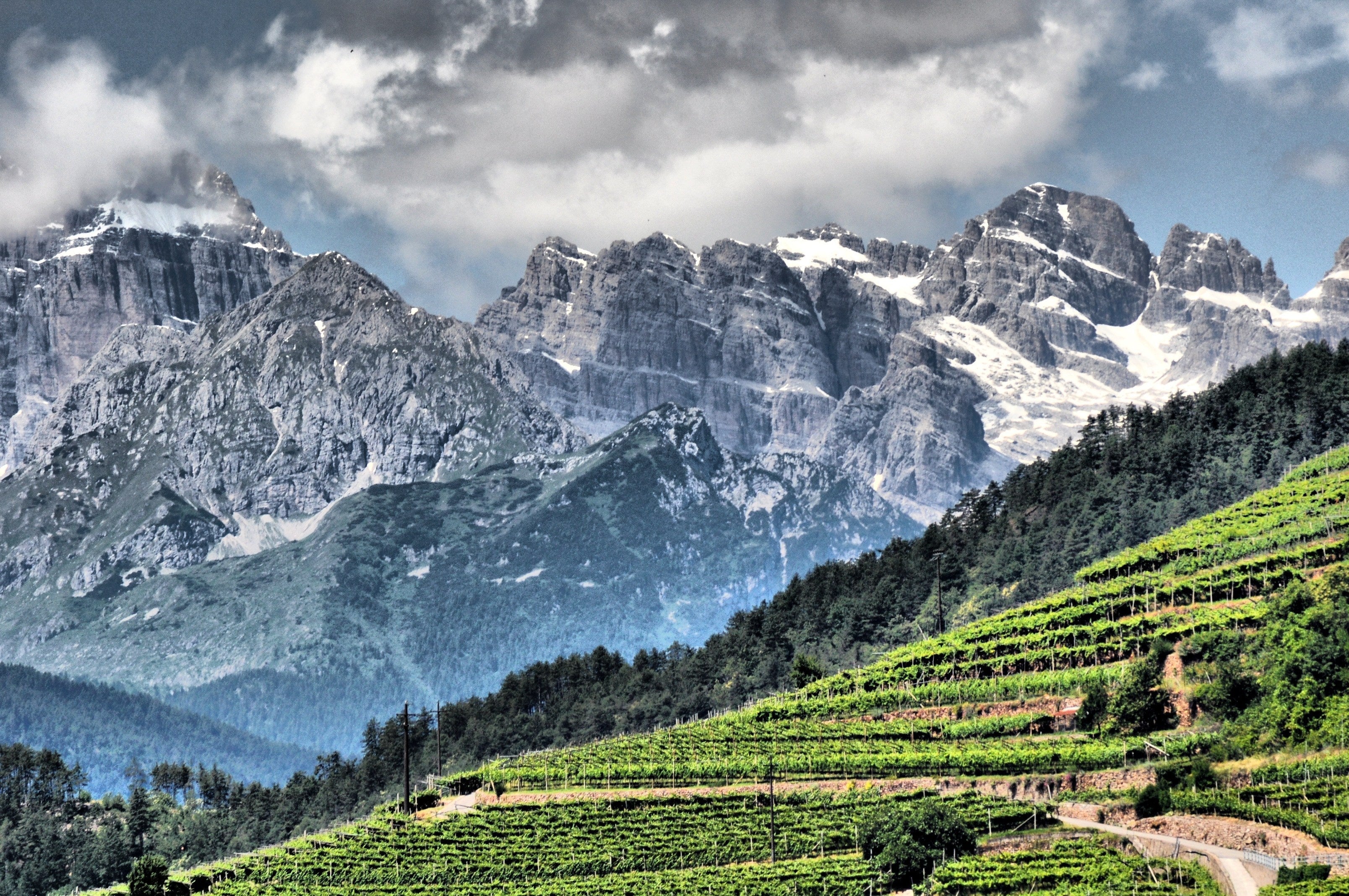 Villa Corniole - Visita e Degustazione in cantina Trentino Alto Adige Villa Corniole