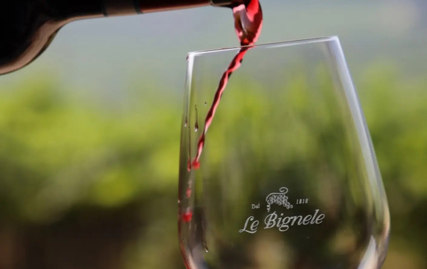 Le Bignele - Relax in Valpolicella Veneto Le Bignele