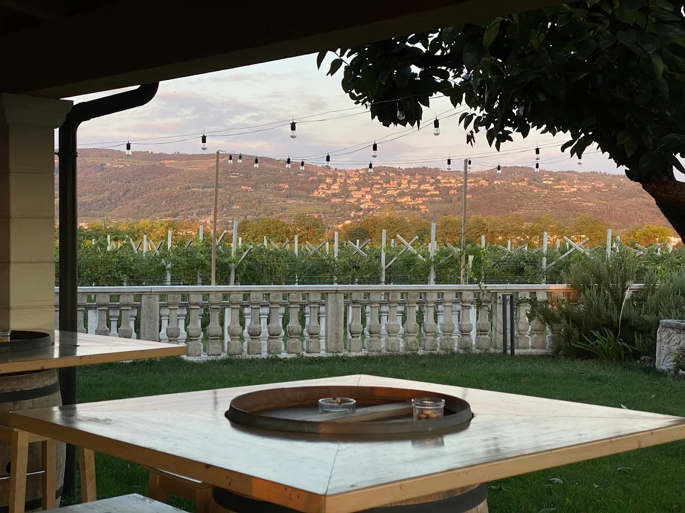 Cantina Mizzon - Amarone Experience Veneto Az.Agr.Mizzon