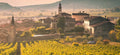 Marco Buvoli - Degustazione Veneto Marco Buvoli