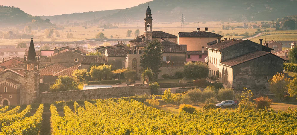 Marco Buvoli - Degustazione Veneto Marco Buvoli