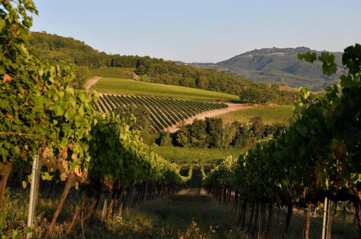 Altarocca Wine Resort - PicNic Umbria Altarocca