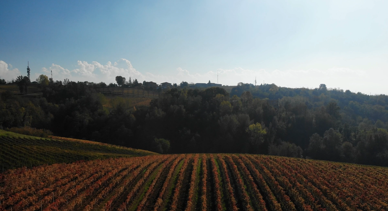 Dosio Vigneti - Picnic in vigna Piemonte Dosio Vigneti