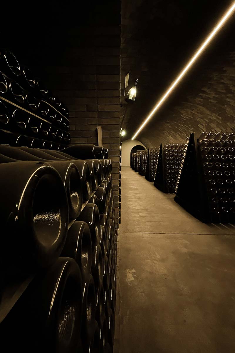 Villa Franciacorta - Visita con Degustazione Lombardia Villa Franciacorta