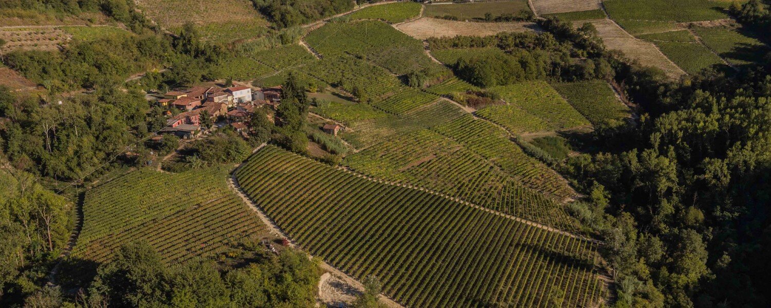 Massimo Rivetti - Degustazione 5 vini Piemonte Massimo Rivetti