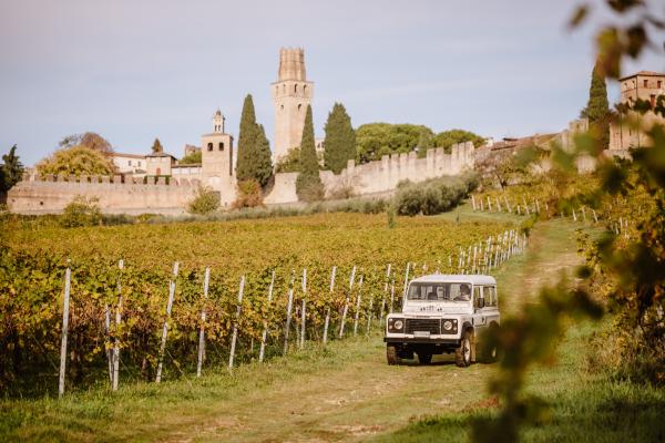 Oddone Prati - Degustazione classica Piemonte Oddone Prati