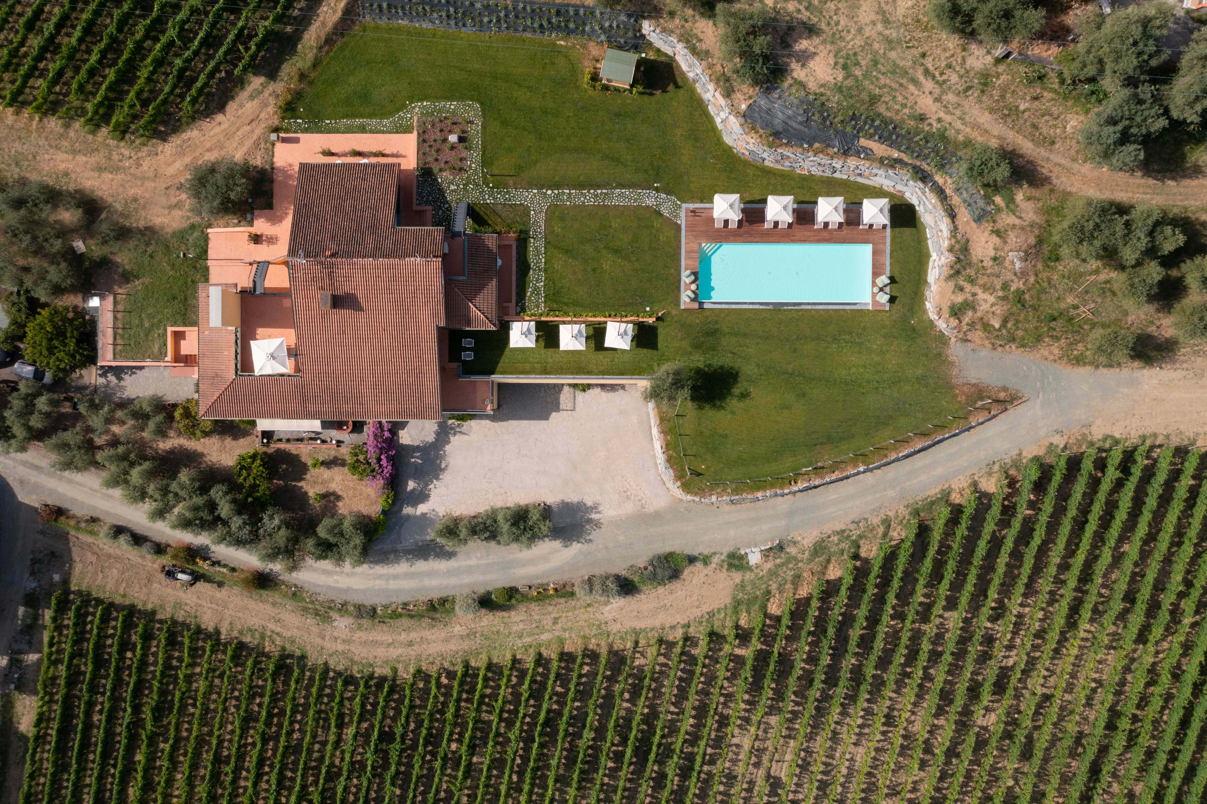 La Colombiera - WINE & LUNCH EXPERIENCE Liguria La Colombiera